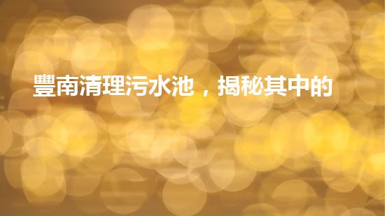 豐南清理污水池，揭秘其中的驚人發(fā)現(xiàn)！